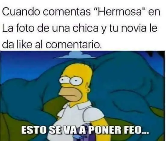 Los Simpsons: imagenes de humor (13)