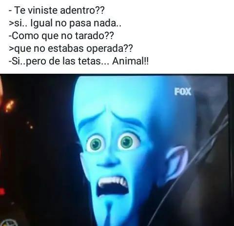 Imágenes que te harán reír mientras esperas el semáforo