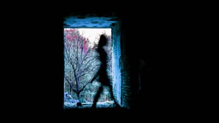 paranormal paranormal