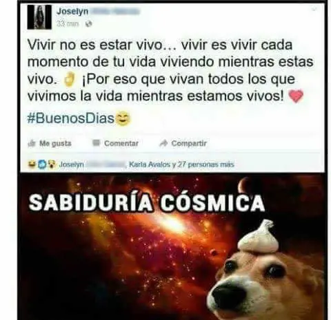 Humor para que no duela tanto la vida. Vol. 186