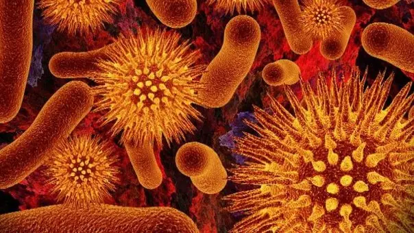 Harvard crea vacuna que ataca al 99% del virus del VIH