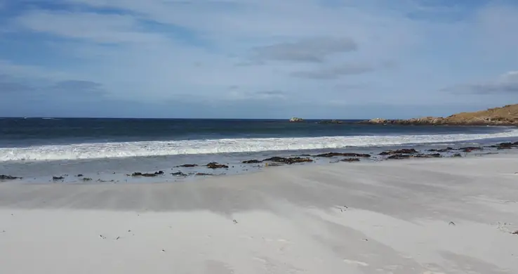 islands islands