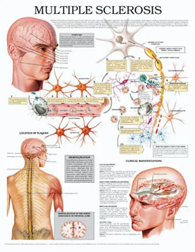 medicina