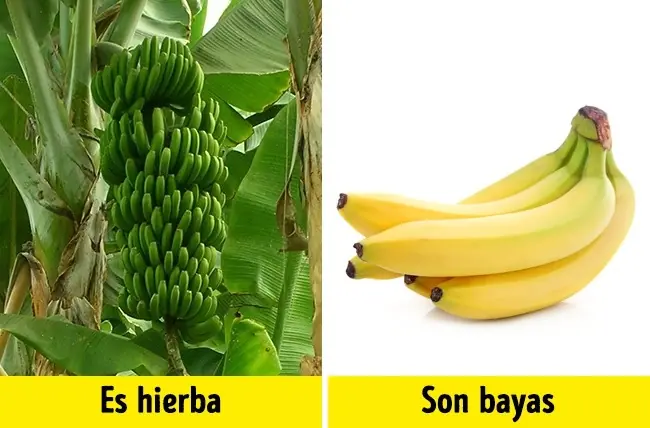20 Mitos que todavía seguimos creyendo