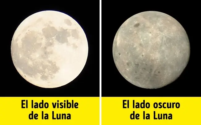siempre