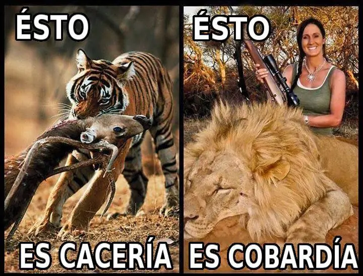 conspiranoicos