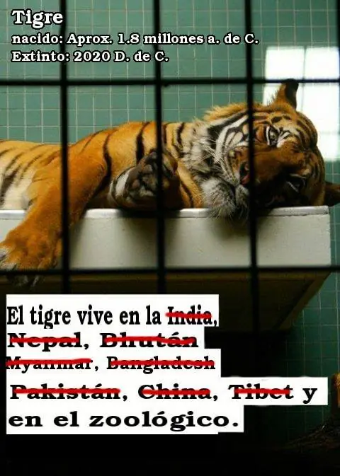 imagenes