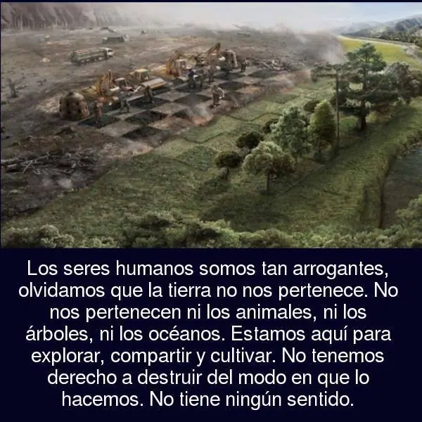 imagenes