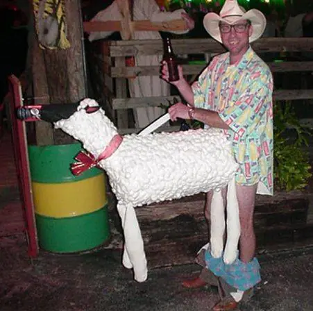 taringueros