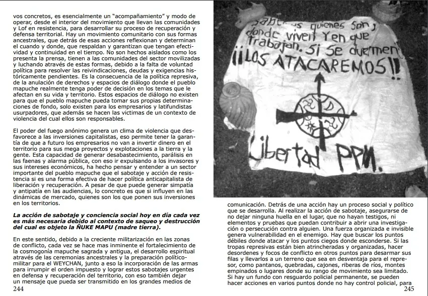 resistencia ancestral mapuche