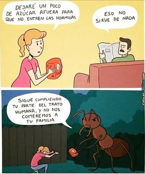 Imágenes de humor nocturno para este miércoles