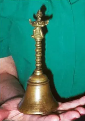 Hallan campana de hace 300 millones de años