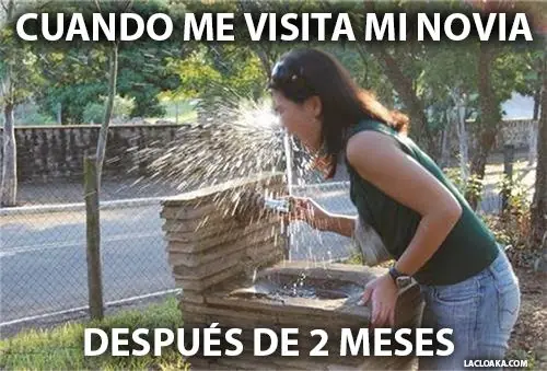 imagenes