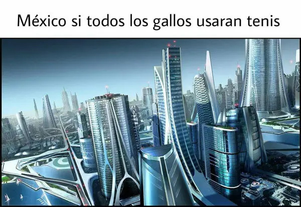 Los mejores memes de gallos con tenis para esta madrugada