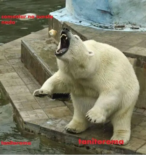 fotos.imagenes.risa.humor 2012