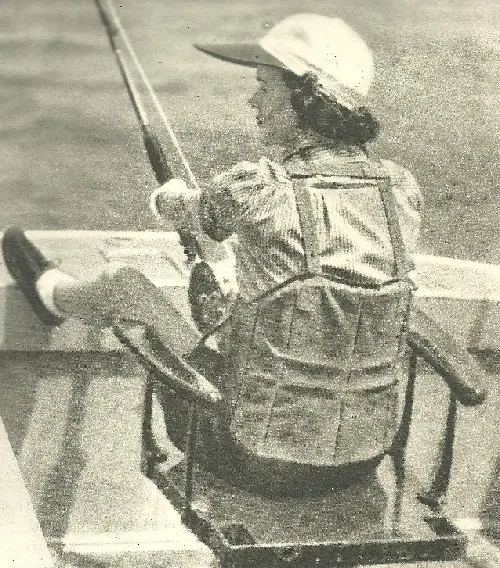 Galletitas de avena y chips de chocolate