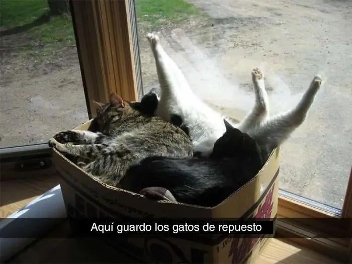 Hombres que encontraron a la mejor suegra del mundo