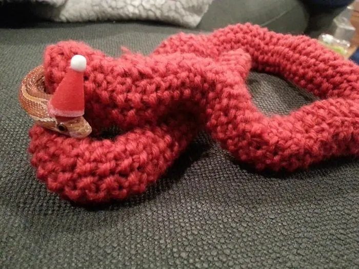 encontraron encontraron