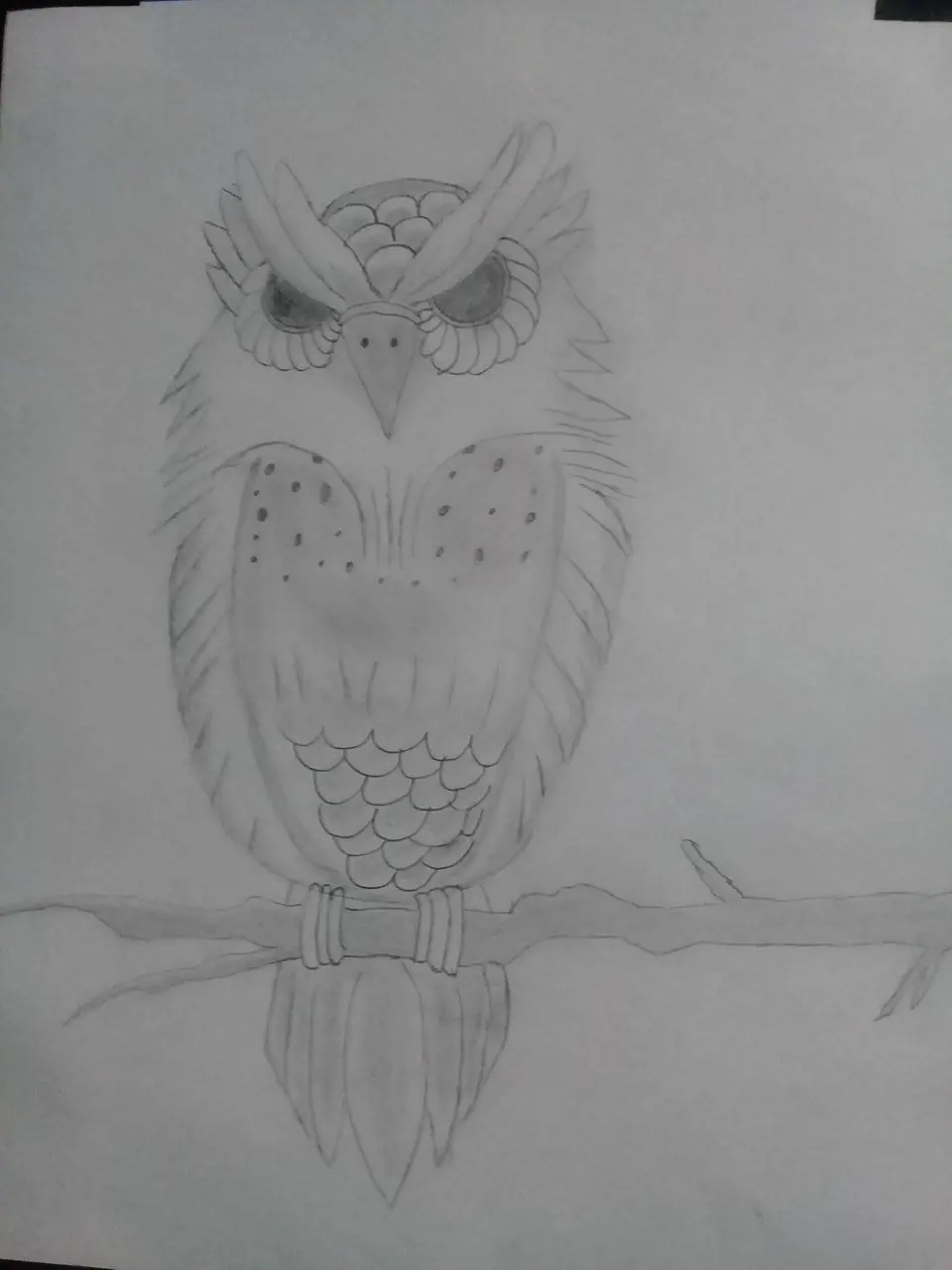 Dibujo a blanco y negro