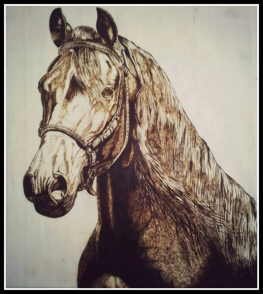 Galerìa Jacks Art