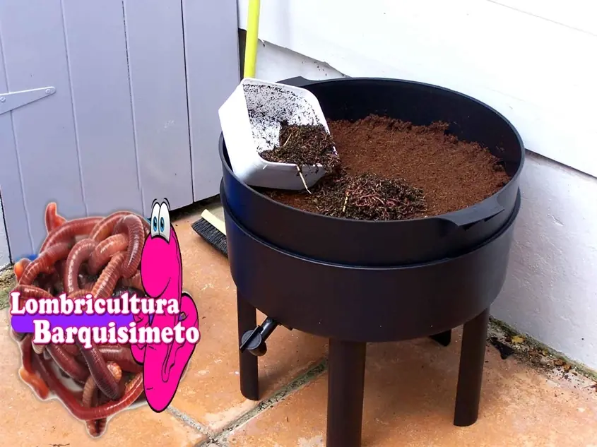 Humus el mejor fertilizante en Venezuela, lombrices