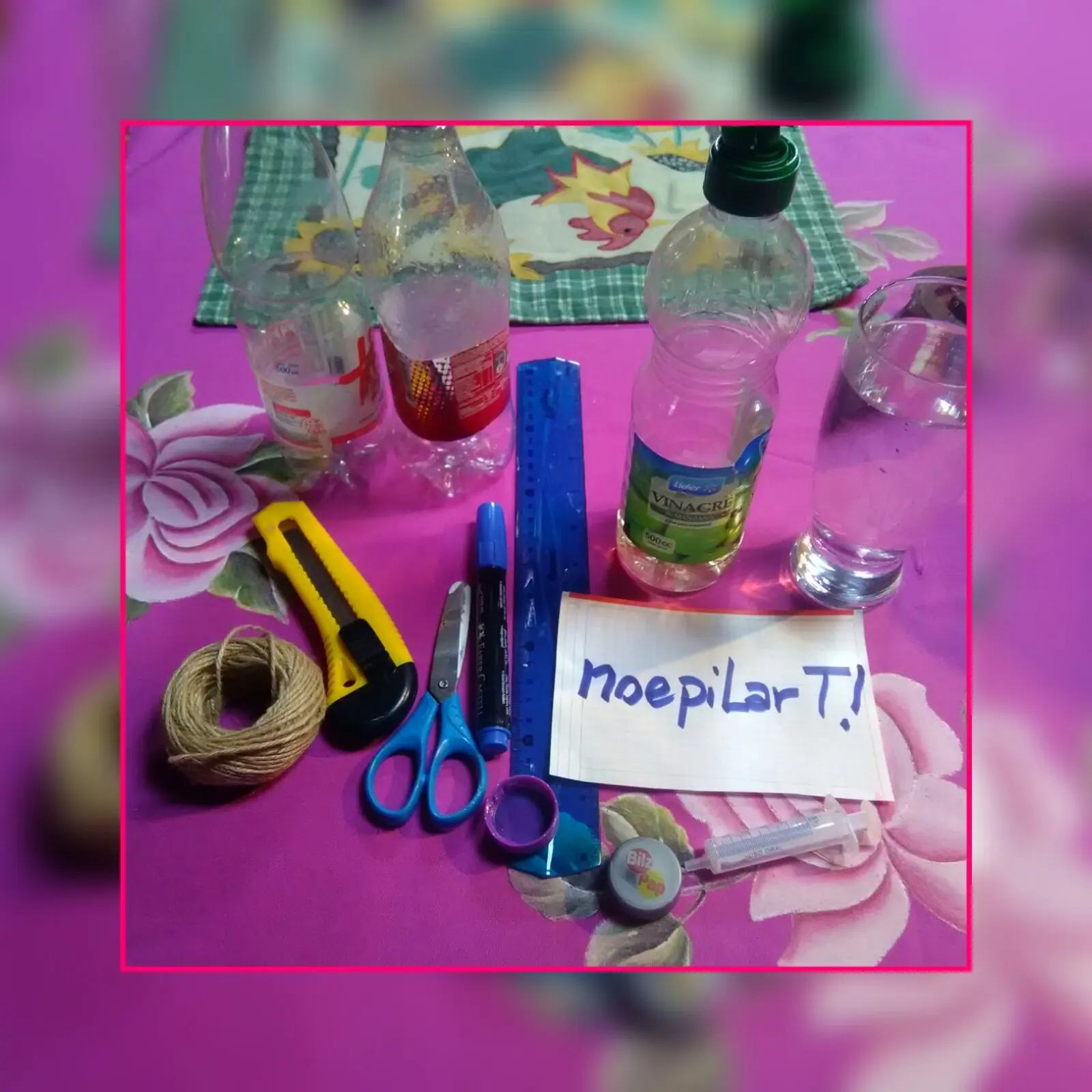 Trampa casera para avispa reina (fotos propias)