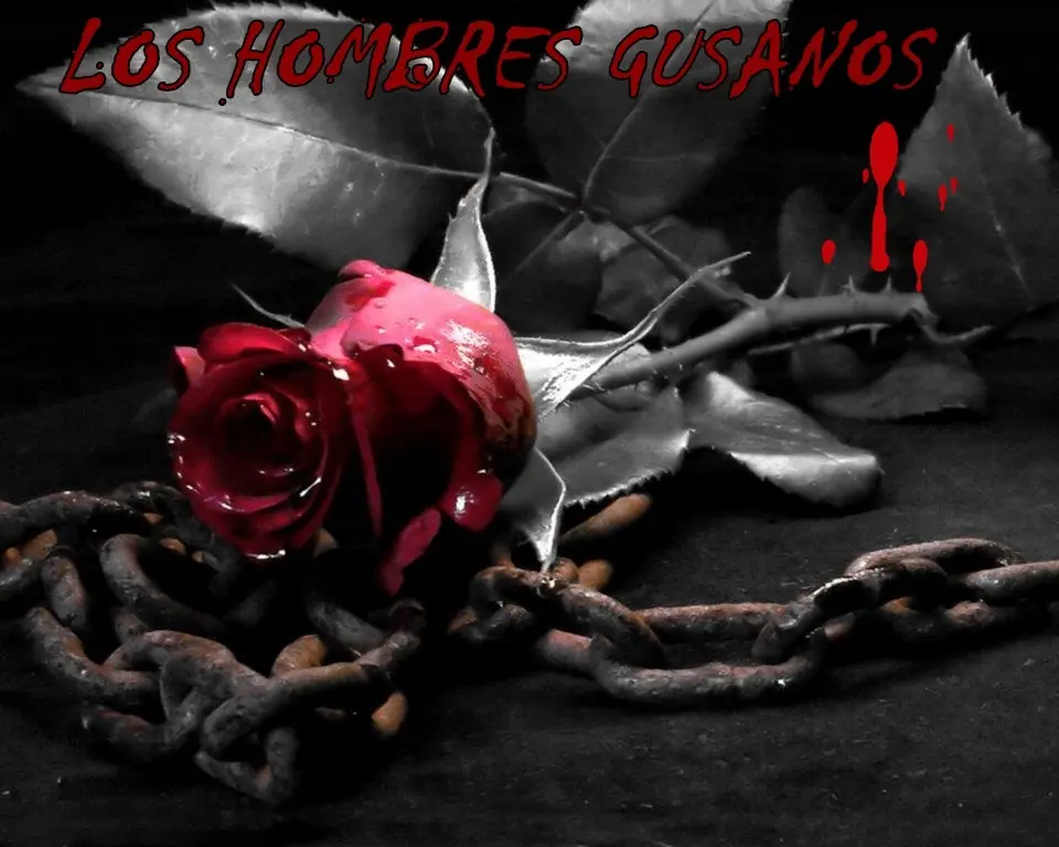 Estoy haciendo mi segundo libro,hombres gusanos