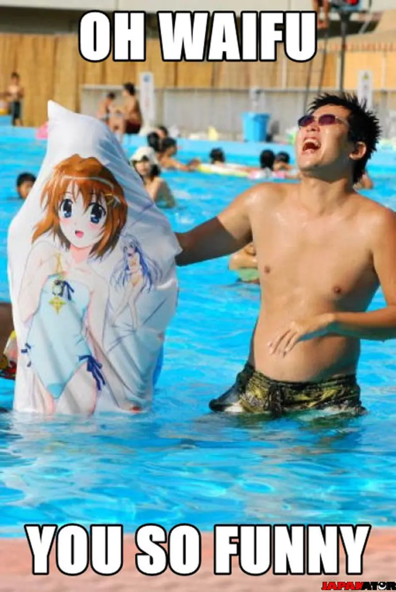 Sabes que representa una waifu para un otuaku ¡PASA LINCE!