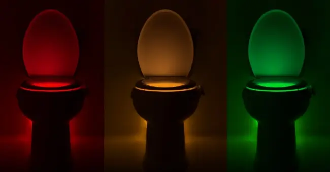 12 Ideas extrañas que ganaron millones!