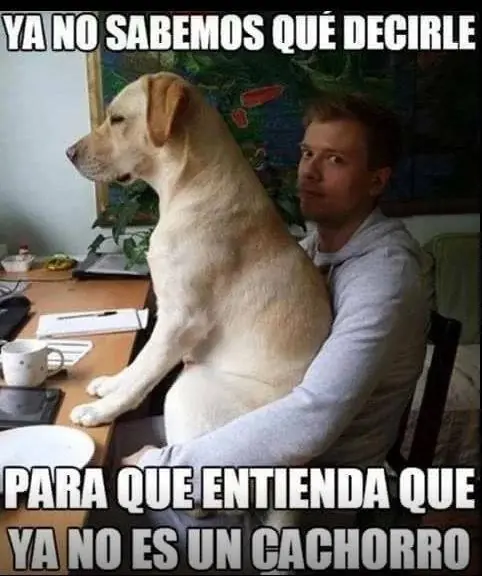 mirate