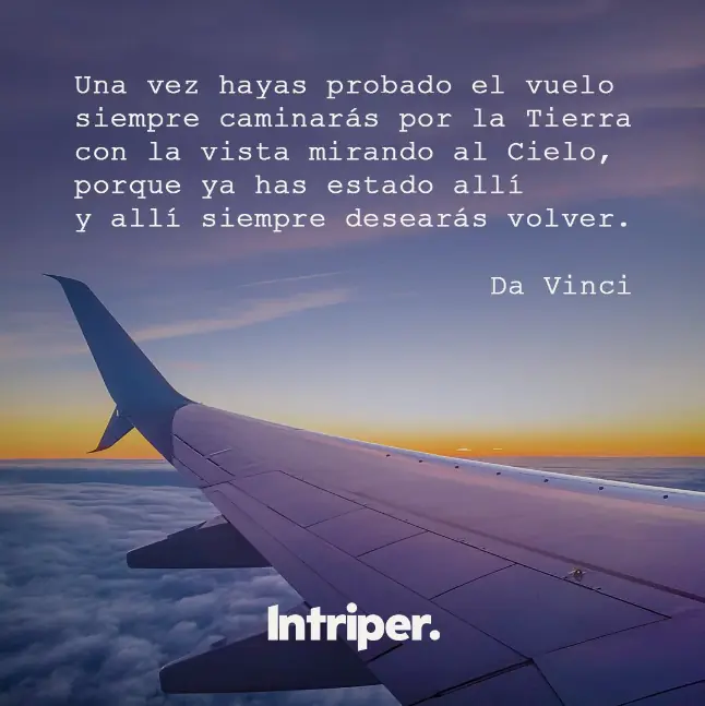 vuelo vuelo