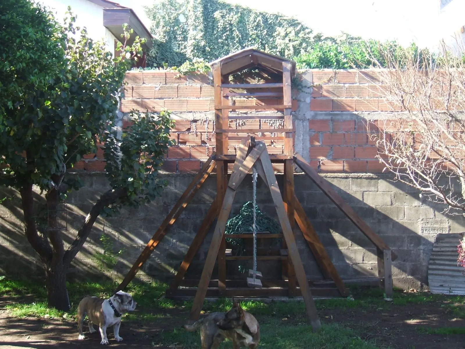 mangrullo