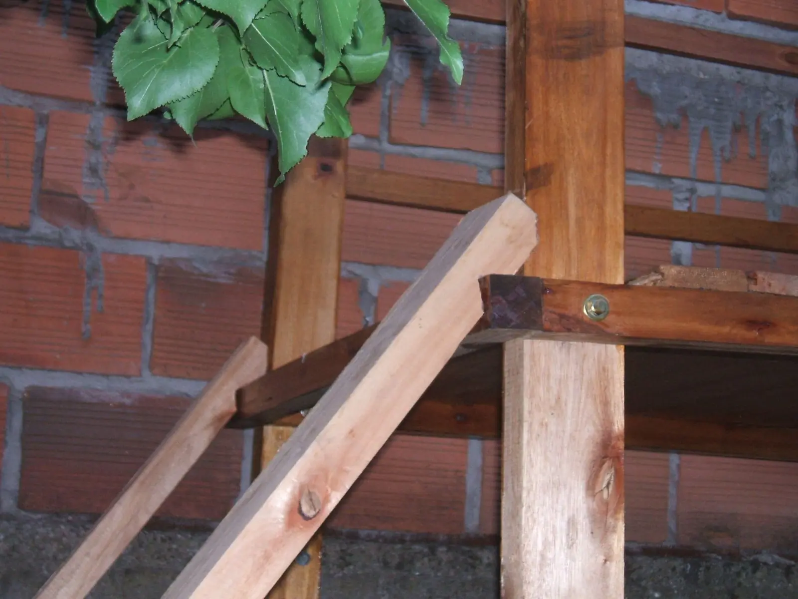 mangrullo