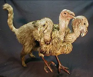 La taxidermia artistica y recreativa de Sarina Brewer