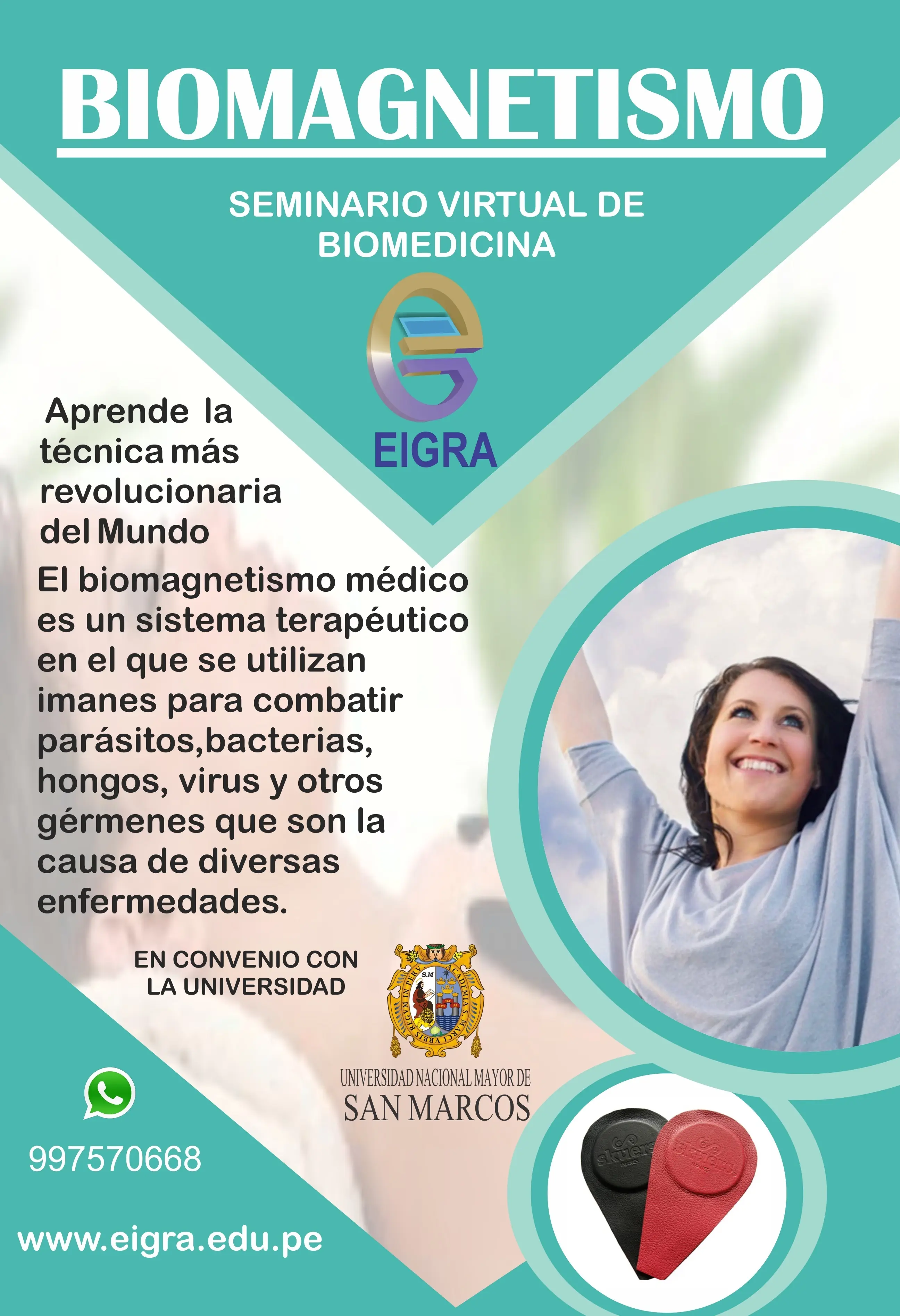 Biomagnetismo (curso)