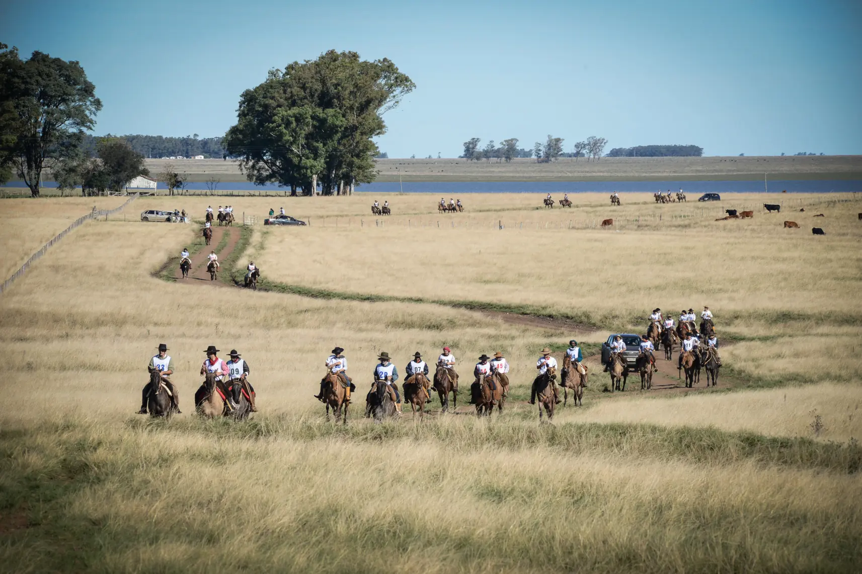pampas