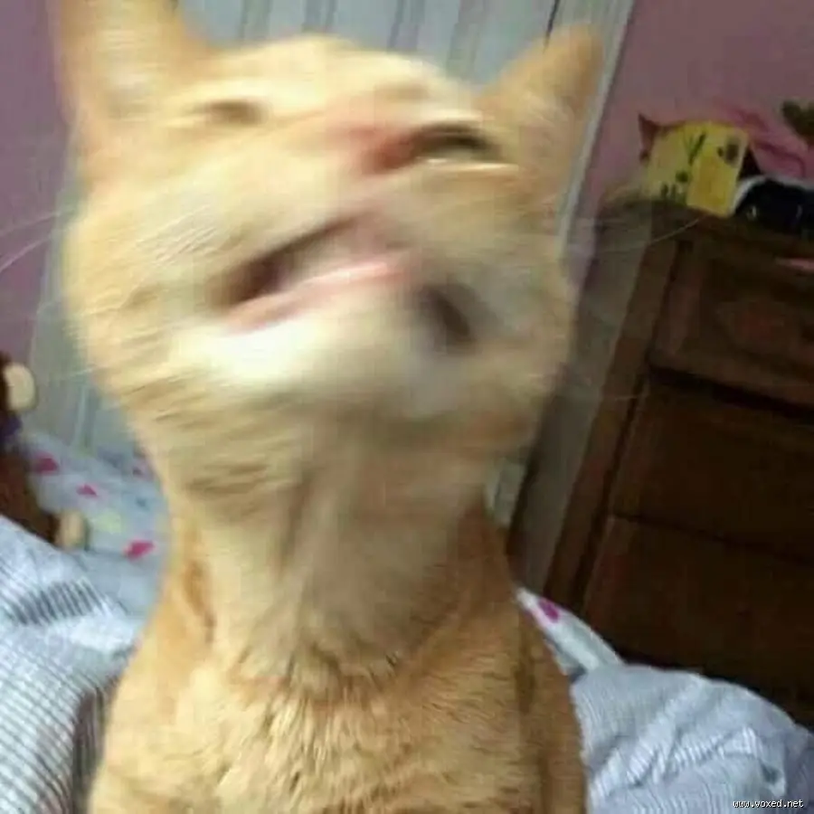 perturbador