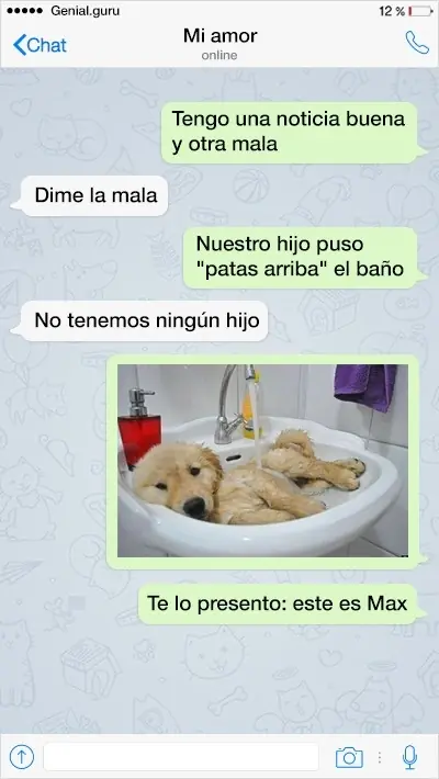 httpsgenialguruinspiracionpareja17mensajesdivertidosenlosqueelhumorfemeninoseoponealmasculino510410