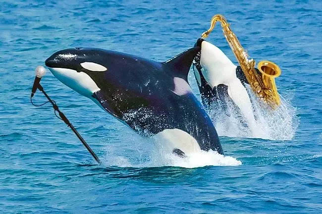 Conoce estos 11 descubrimientos que puede que hayas perdido