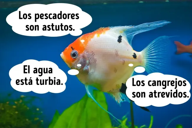 perdido