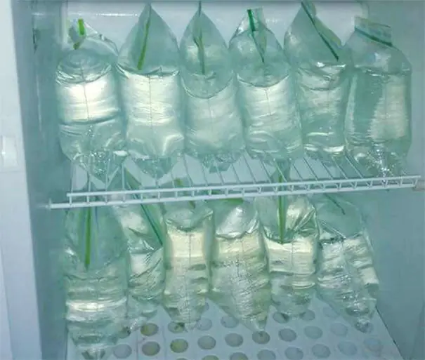 Consejos estúpidos no sirven para nada, te matarán de risa