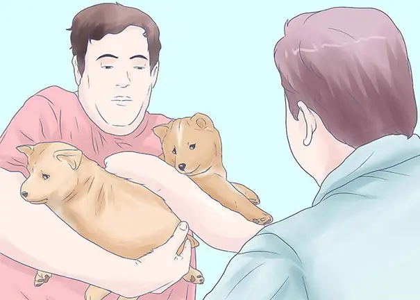 Consejos estúpidos no sirven para nada, te matarán de risa