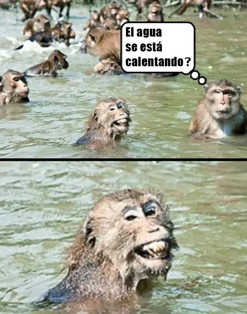 minas