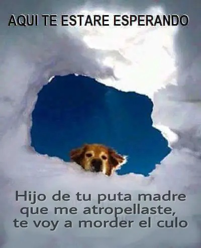 Lo mejor del humor mexicano parte 99