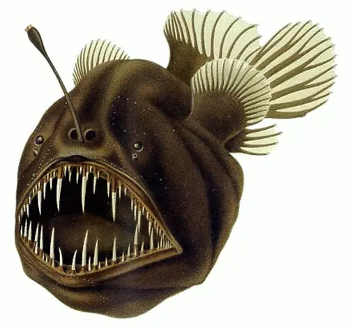 oceano
