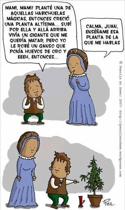 concha