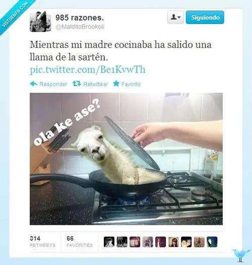 memes