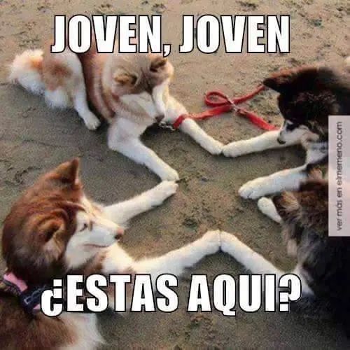 humor
