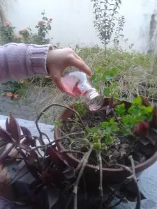 El ritual de sembrar tu sangre menstrual