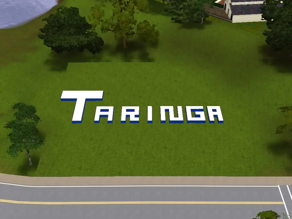taringuero promedio